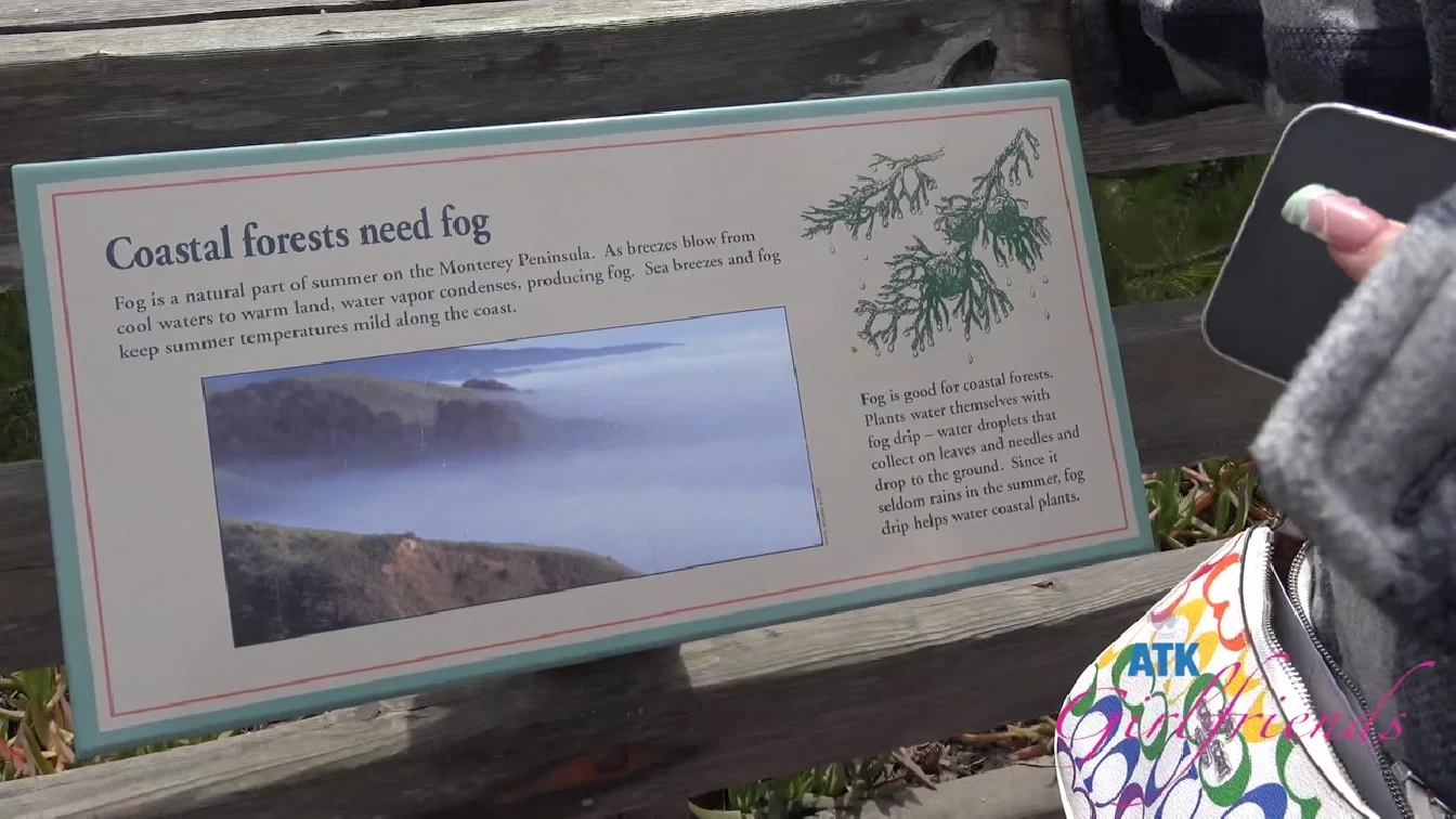 Preview of ATKGirlfriends Nicole Nichols Norcal 3 XXX